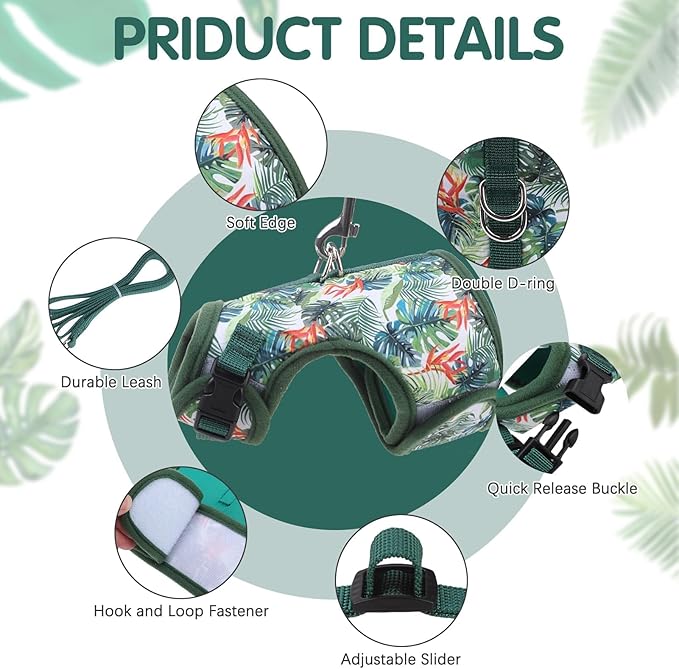 BINGPET Cat Harness and Leash Set Escape Proof for Walking,Step-in Harness with Lightweight Soft Breathable Mesh,Adjustable Easy Control Harness (Emerald Hues, L(Chest:12.5-16.5"))