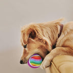 EXPAWLORER Tennis Balls for Dogs - 12 Pack 2.5¡± Squeaky Dog Tennis Balls Toys,Christmas Dog Toys Teething Chew Interactive Dog Bounce Toys for Training Exercise Playing Indoor Outdoor, Rainbow