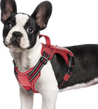 rabbitgoo Dog Harness Small Sized No Pull, Tactical Service Pet Vest with Molle and Control Handle, Adjustable and Reflective Military Harness for Easy Walking and Training, Red, S
