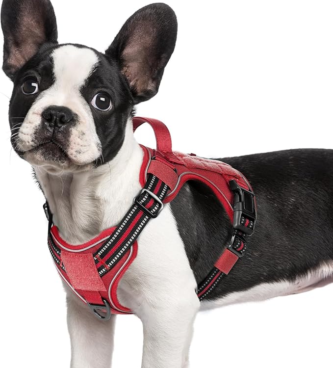 rabbitgoo Dog Harness Small Sized No Pull, Tactical Service Pet Vest with Molle and Control Handle, Adjustable and Reflective Military Harness for Easy Walking and Training, Red, S