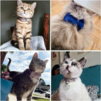 Cat Collar Personalized with Name Phone Number Engraved,Customized with Bell for Small Dogs Puppy Kitten