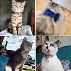 Cat Collar Personalized with Name Phone Number Engraved,Customized with Bell for Small Dogs Puppy Kitten