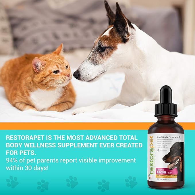 RestoraPet 4-Pack Dog & Cat Beef Liquid Multivitamin | Dog Arthritis Pain Relief | Hip & Joint Vitamins for Dogs - Anti Inflammatory Supplement for Dogs & Cats | Organic & Non-GMO, Vet Approved
