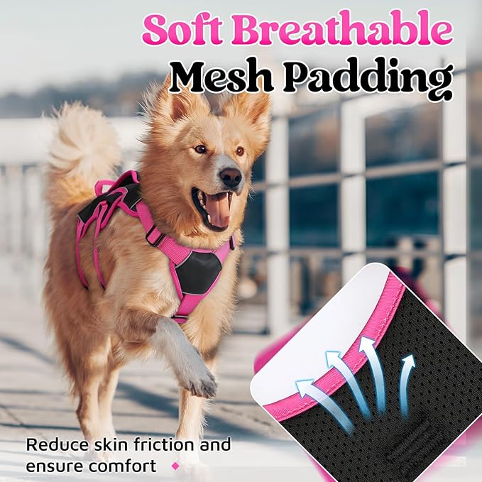 rabbitgoo Escape Proof Dog Harness Large Dogs, Soft Padded Full Body Pet Harness, Reflective Adjustable No Pull Vest with Lift Handle and Leash Clip for Walking Hiking Training, Pink & Black, L