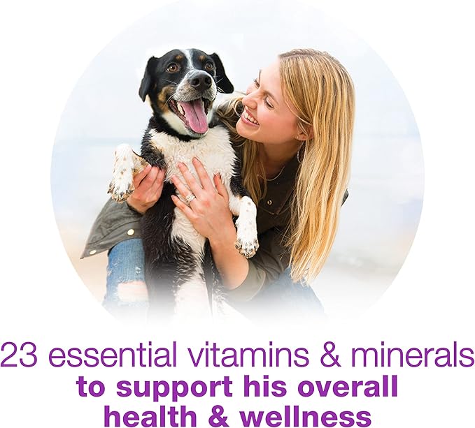 Purina Beneful Wet Dog Food Variety Pack, Chopped Blends - (12) 10 oz. Tubs