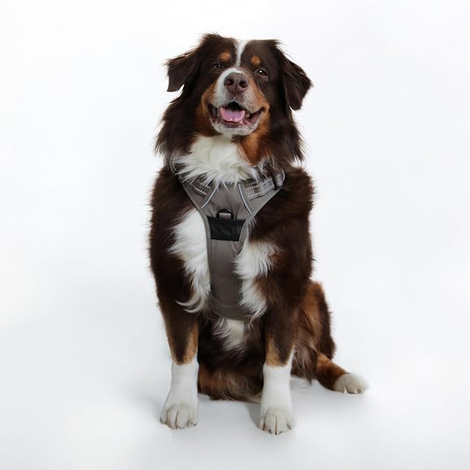 Doggie Design Venture Paw No Pull Dog Harness - Simple Adjustable Puppy Harness - Anti Pull Dog Collar for Walks and Outdoor Adventures - Dried Sage, XL