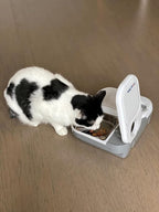 Closer Pets C200 2 Meal Timer-Controlled Automatic Pet Feeder - for Cats and Small Dogs, Wet or Dry Food, Stainless Steel Bowl Inserts and Ice Pack, up to 0.88 lb Each, White