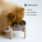 6.1inch Ceramic Raised Slow Feeder Set, Elevated Bowl with Wooden Stand for Small Dog and Cat, Puzzle Slow Dog Food Dish, Preventing Choking(Brown Coffee, Single Bowl+ Stand)