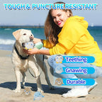 DKING 3Pack Squeaky Dog Balls,2 in1 Funny Puppy Ball Toys,Birthday Dog Toy for Small Medium Dogs (Ocean Ball)