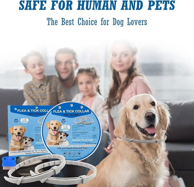 Flea Collar for Dogs, 2 Pack Collar for Dogs, 12 Months Protection, Waterproof, Adjustable One Size Fits All, Grey