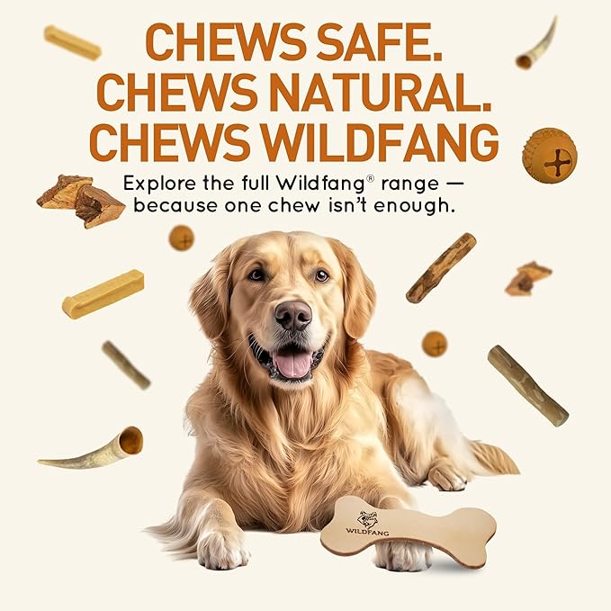 Wildfang® Leather Dog Toy, Small - Leather Bone for Teething Dog, Dental Toys for Puppies, Training for Chewing Muscles, Puppy Chew Bones for Light or Medium Chewers (for Dogs Under 22 lbs), Pack of 1