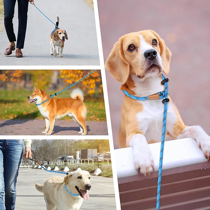 lynxking Slip Lead Dog Leash Reflective, Heavy Duty Comfortable Strong Rope for Large Medium Small Dogs No Pull Pet Training (Light Blue, Small 3/8in x 6ft-Slip Lead)