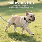 Reflective Dog Collar, Soft Neoprene Padded Nylon Pet Collar with Quick-Release Buckle, Adjustable for Mediunm Dogs,Grey,M, 3/4" Width