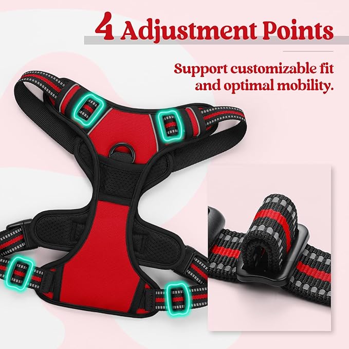 rabbitgoo Dog Harness No Pull with 2 Leash Clips, Adjustable Soft Padded, Reflective Oxford No Choke Pet Vest with Easy Control Handle for Medium Sized Dogs, Red, M