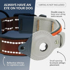 CollarDirect Airtag Dog Collar Reflective Nylon Neoprene Leather Holder for Apple Air Tag for Large, Medium, and Small Dogs (Orange, M, 13.5-16.5 Inch)