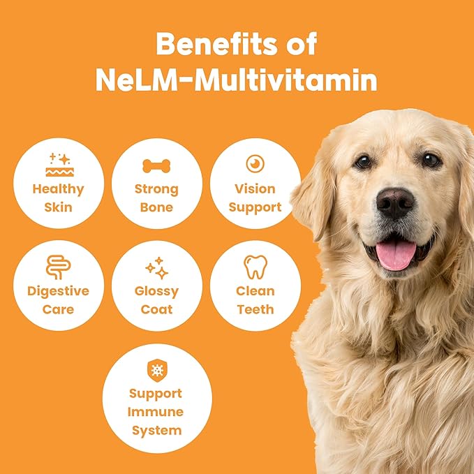 NeLM Supplements & Vitamins for Dogs - Mouth Dissolving Strips - Multivitamin, Eye, Hip & Joints, Gut, Dental Support - Pet Health Supplies - 30 Stips(Pack of 1) (30 Strips (Pack of 1), Multivitamin)