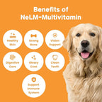 NeLM Supplements & Vitamins for Dogs - Mouth Dissolving Strips - Multivitamin, Eye, Hip & Joints, Gut, Dental Support - Pet Health Supplies - 30 Stips(Pack of 1) (30 Strips (Pack of 1), Multivitamin)