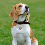 Dog Tags Personalized for Pets Custom Dog Tags Dog Name Tag QR Code Pet Tags Smart Pet ID Tags Free Online Pet Page Prevent Lost/Modifiable Colorful Paw Print