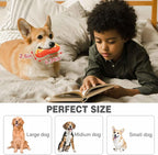LiuMelinda Dog Chew Toys for Aggressive-Chewers - Indestructible Dog Toy for Aggressive Chewer(2-Pack)，Tough Chew Toys for Dogs （Rubber）