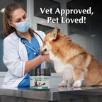 Calming Chews for Dogs by Giarcidia – Hemp-Based Max Strength Anxiety Relief, Stress Relief for Fireworks, Thunderstorms, Travel & Separation – Chicken Flavor – 90 Soft Treats for Dogs