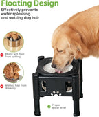 Pawque Elevated Dog Bowls, 80Oz Stainless Steel Water Feeder with 3 Adjustable Heights, Anti-Spill Design for Small to Medium Sized Dogs
