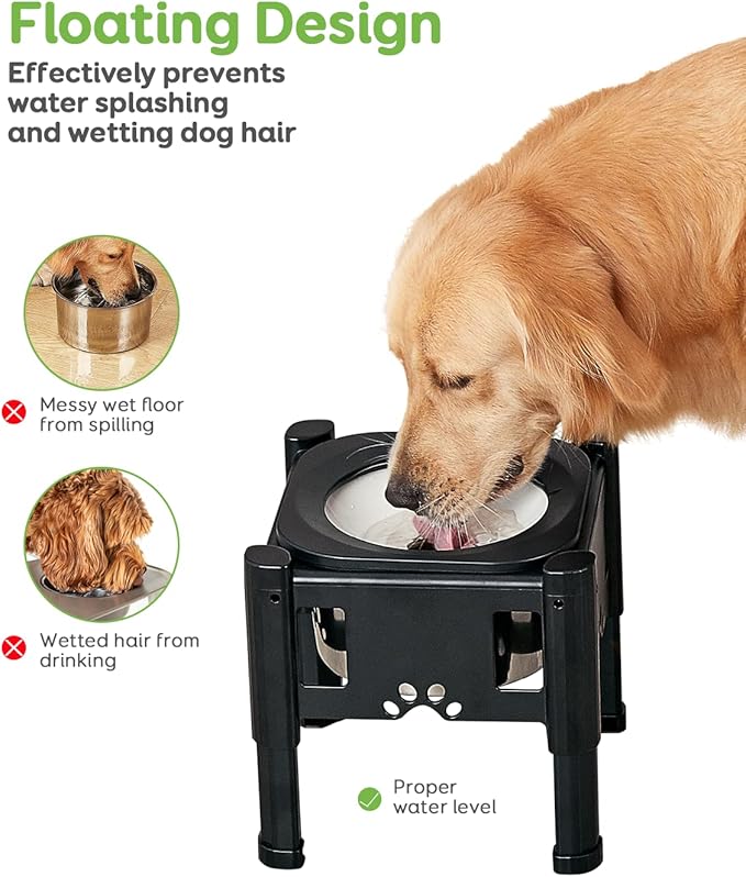 Pawque Elevated Dog Bowls, 80Oz Stainless Steel Water Feeder with 3 Adjustable Heights, Anti-Spill Design for Small to Medium Sized Dogs