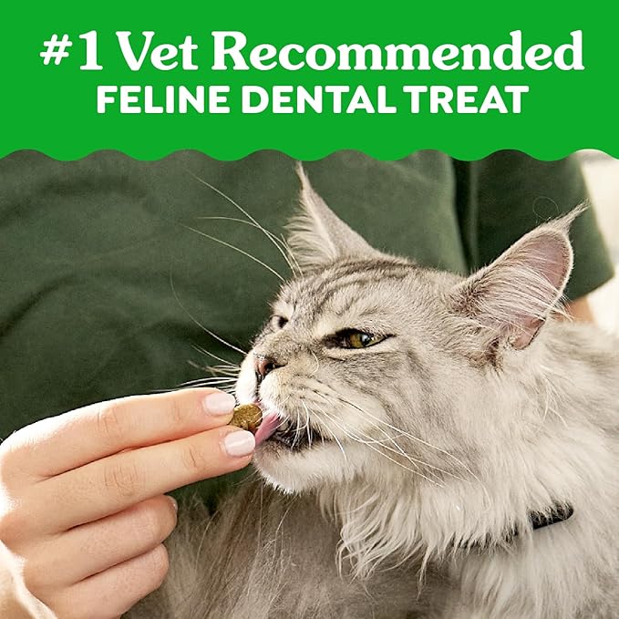 Greenies Feline Veterinarian-Recommended Adult Natural Dental Cat Treats, Catnip Flavor, 9.75 oz. Tub
