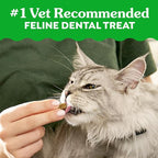 Greenies Feline Veterinarian-Recommended Adult Natural Dental Cat Treats, Savory Salmon Flavor, 4.6 oz. Pouch