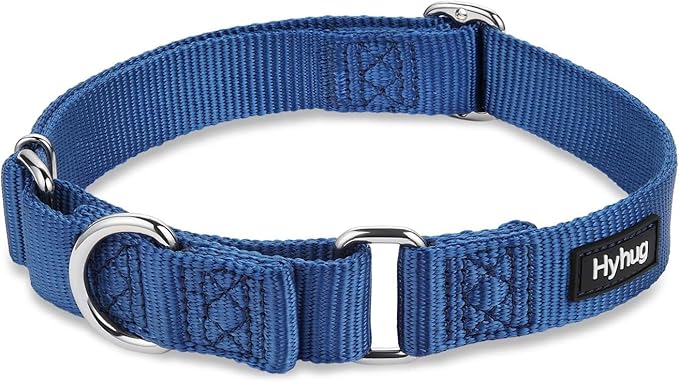 Hyhug Martingale Collar for Dogs Extra Large Blue |Escape - Proof Heavy Duty Nylon Durable No Pull, Ideal for Training & Daily Walks