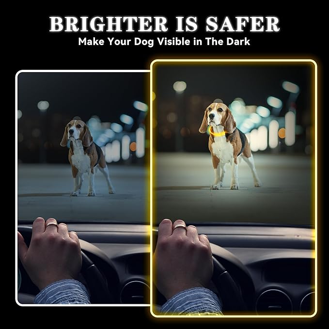 Light Up Led Dog Collar Rechargeable Waterproof, Glow in Dark Dog Collar, TPU Cuttable Lighted Dog Collars for Night Walking Charging USB, Safety for Small Medium Large Dogs Orange
