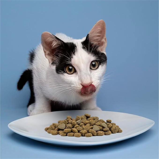 Forza10 - Cat Food, Limited Ingredient Cat Food for Urinary Health and UTI Support, Non-GMO, Fish Flavor, Made in Italy (3.3 lb)