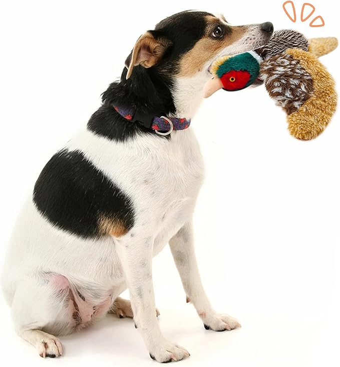 Dog Toys Interactive Pheasant Toy Puzzle and Squeaky, Suitable for Small Medium and Large Dogs Bird Toys, Stuffed Animal Toys for Dog, Plush Toy for Dogs