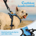 rabbitgoo Dog Harness No Pull with 2 Leash Clips, Adjustable Soft Padded, Reflective Oxford No Choke Pet Vest with Easy Control Handle for Puppy, Blue, XS