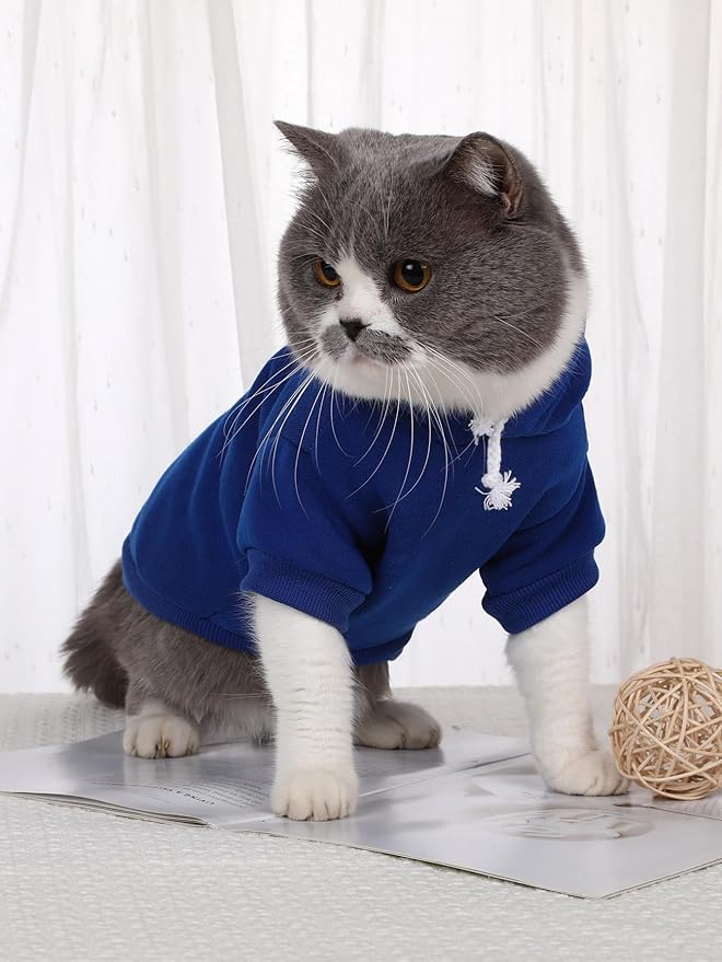 QWINEE Basic Dog Hoodie Sweatshirt Puppy Sweater Warm Cat Costumes Pet Clothes for Chihuahua Puppy Kitten Small Medium Dogs Royal Blue Medium