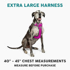 Embark Adventure Dog Harness, Reflective Trim XL Dog Harness for Extra Large Dogs No Pull - Military Grade Nylon, 2 Leash Clips & Gel Lined Handle.