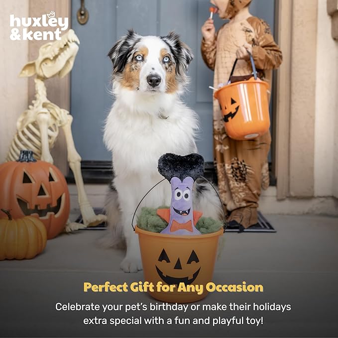 Huxley & Kent Halloween Funny Dog Toy w/Squeaker – Power Plush Squeaky Dog Toys for Small, Medium & Large Dogs – Soft Stuffed Animal for Indoor Play & Fetch - Dracula Bone, One Size
