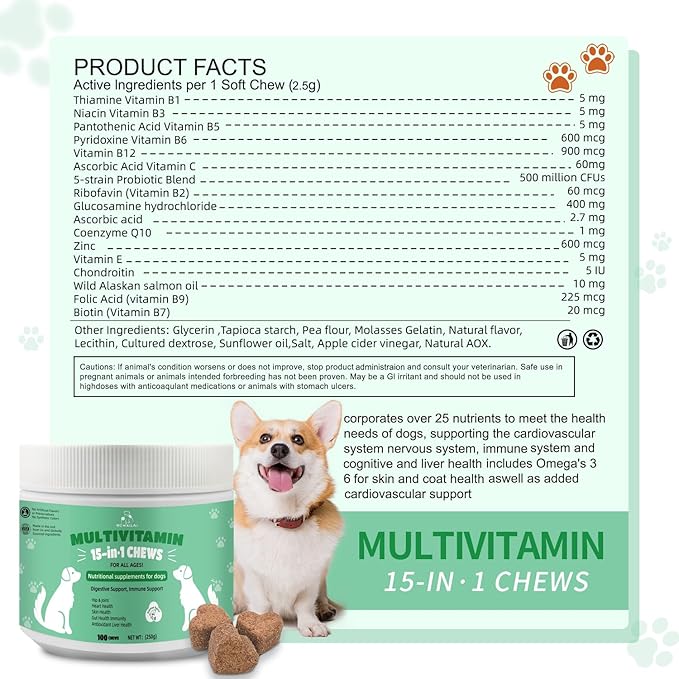 Premium Multivitamin Chewable for Dog - Dogs Vitamins Supplements with Glucosamine HCL Omega-3 Antioxidants Support Digestion Joint Health Immune Function Skin & Coat, Beef Flavor 100 Soft Treats