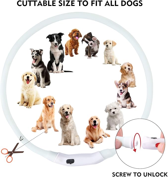 LED Dog Collar, Rechargeable RGB Color Changing Light Up Dog Collars, Waterproof Dog Lights Make Pet Visible and Safety for Night Walking，Outdoor, Camping, for Small Medium Large Dogs