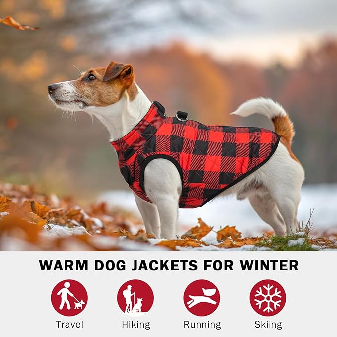 SCENEREAL Dog Winter Coat - Warm Dog Jacket with Built-in Harness for Small & Medium Dogs, Waterproof Cold Weather Coat with Zipper, Fleece Puffer Vest Windproof Snow Clothes for Puppy & Pet