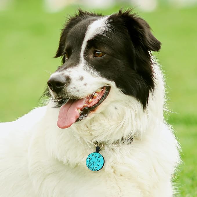 MYLUCKYTAG QR Code Silicone Dog & Cat ID Tag - Online Pet Profile, Location Alert Email, Digital Pet Tag - Quiet & Durable