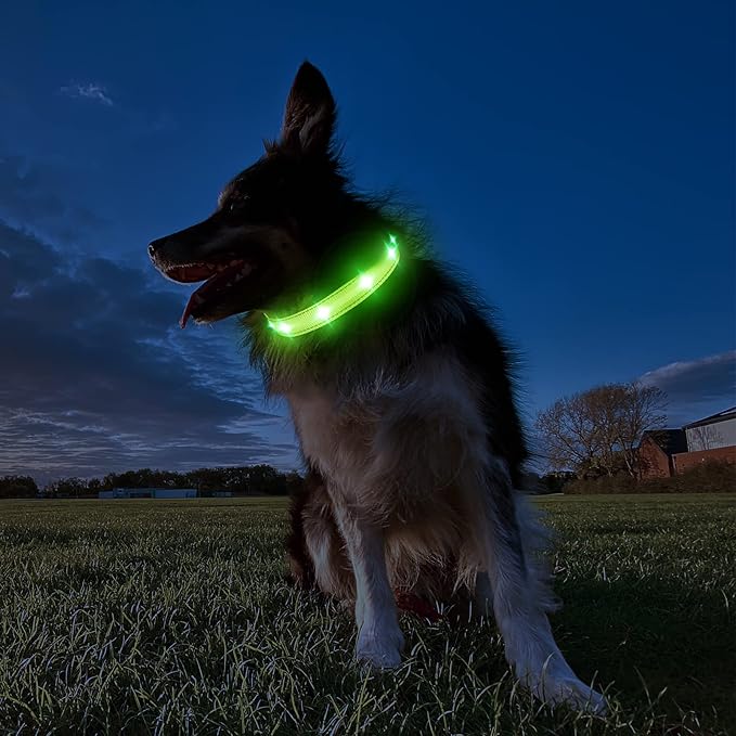 MASBRILL Light Up Dog Collar - RGB LED Flashing, Rechargeable, Water-Resistant Glow Up Night Walking Collar for Small to Large Dogs
