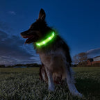MASBRILL Light Up Dog Collar - RGB LED, Rechargeable, Water-Resistant Glow Up Night Walking Collar for Small to Large Dogs