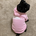 BINGPET Security Dog Hoodies Puppy Sweater Cold Weather Dog Coats Soft Brushed Fleece Pet Clothes Hooded Sweatshirt for Dog Cat