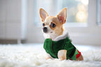 Funny Elf Dog & Cat Costume - Christmas Party Outfit, Winter Coat for Dogs & Puppies (S)