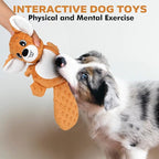 petizer Plush Squeaky Dog Toys, Stuffed and Crinkle Dog Chew Toys, Interactive Toys for Puppies, Small, Medium and Large Dogs, Cute Squirrel and Raccoon, 2 Pack