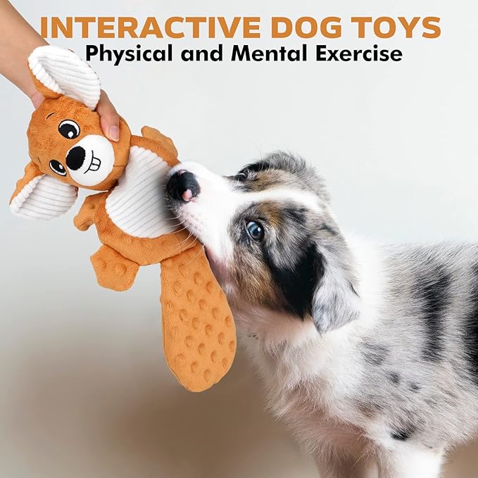 petizer Plush Squeaky Dog Toys, Stuffed and Crinkle Dog Chew Toys, Interactive Toys for Puppies, Small, Medium and Large Dogs, Cute Squirrel and Raccoon, 2 Pack