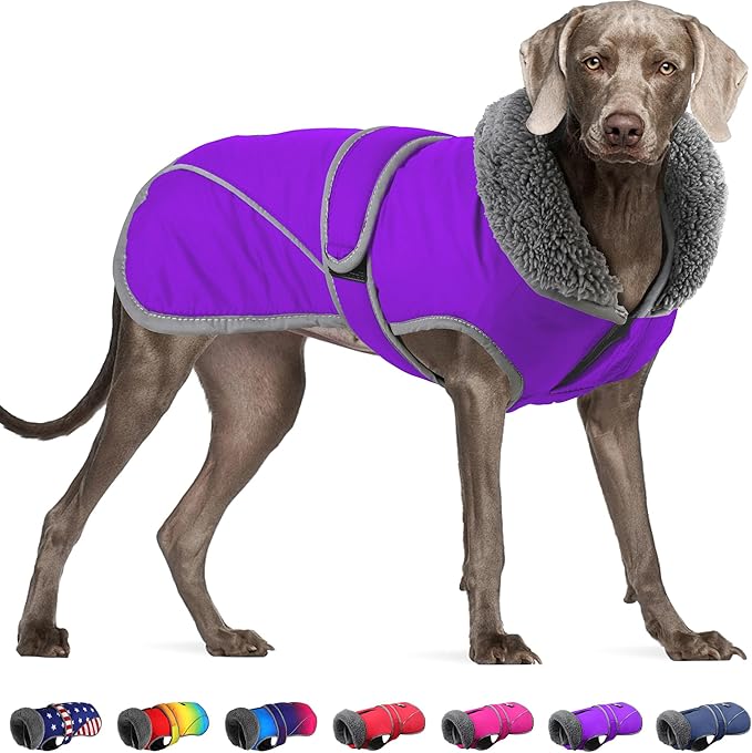 Dogcheer Dog Coat, Christmas Dog Jacket Waterproof Puppy Winter Coat for Cold Weather, Reflective Adjustable Pet Snow Jacket Warm Turtleneck Fleece Sweater for Small Medium Large Dogs - Purple, 2XL