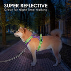 PHOEPET No Pull Dog Harness, Unique Colors Reflective Adjustable Dog Vest, with Soft Training Handle Metal Clips for Small Medium Large Dogs (Purple Base & Green Straps,M)