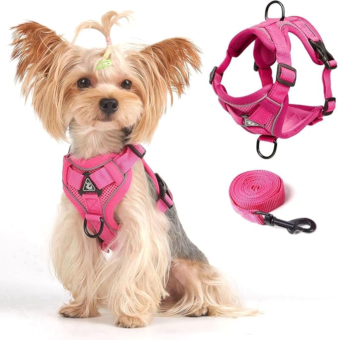 Vest Harness Leash Set for Small Dog Large Cat, Upgraded Escape Proof Adjustable Jacket with Lead for Puppy Fat Cat Outdoor Walking, Soft Breathable Mesh Coat with Reflective Strip XL Pink