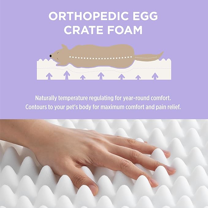 Lesure Human Dog Bed for Adult - Calming Human Size Dog Bed with Egg Foam Supportive Mat and Storage Pocket, Cute Modern Pet Beds with Jacquard Shaggy Plush & Anti Slip Bottom 55x37x10, Green